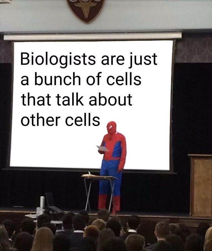 meme